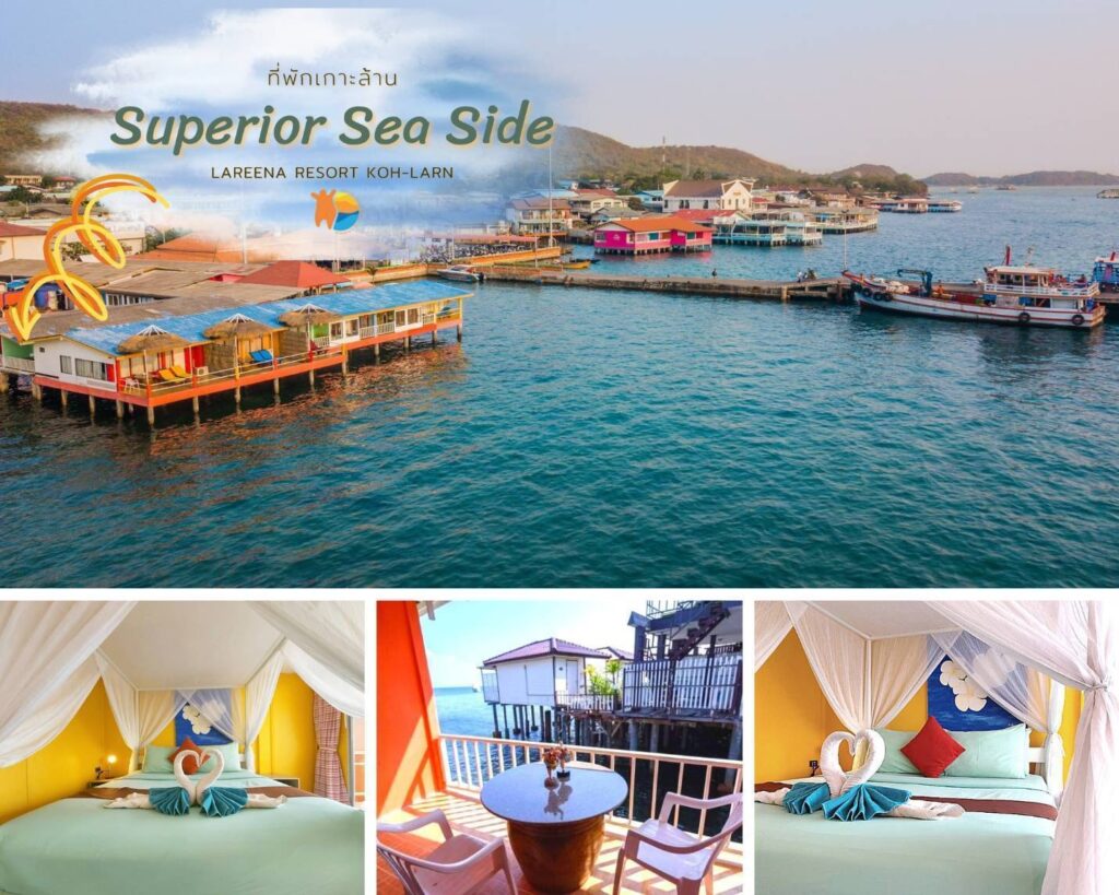 269808556 1871176929741158 5940574170559063658 n 1