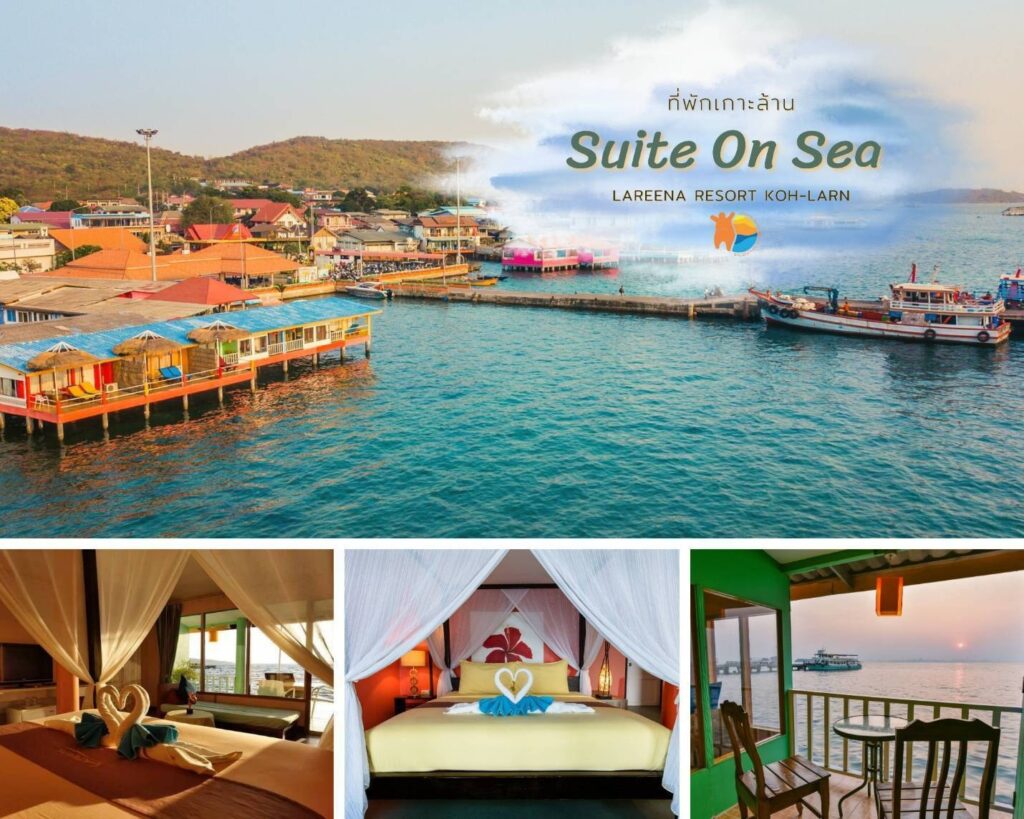 270126461 1871176966407821 7654877100334292976 n 1