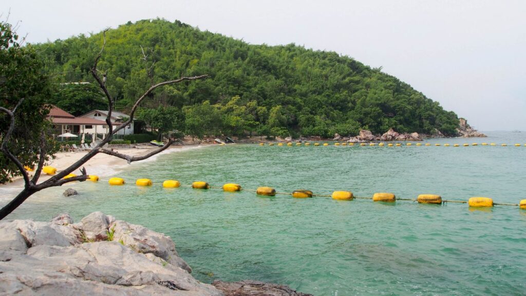 หาดในเกาะล้าน2024 32 KohLarn.co 2024 10 10T211018.830 1