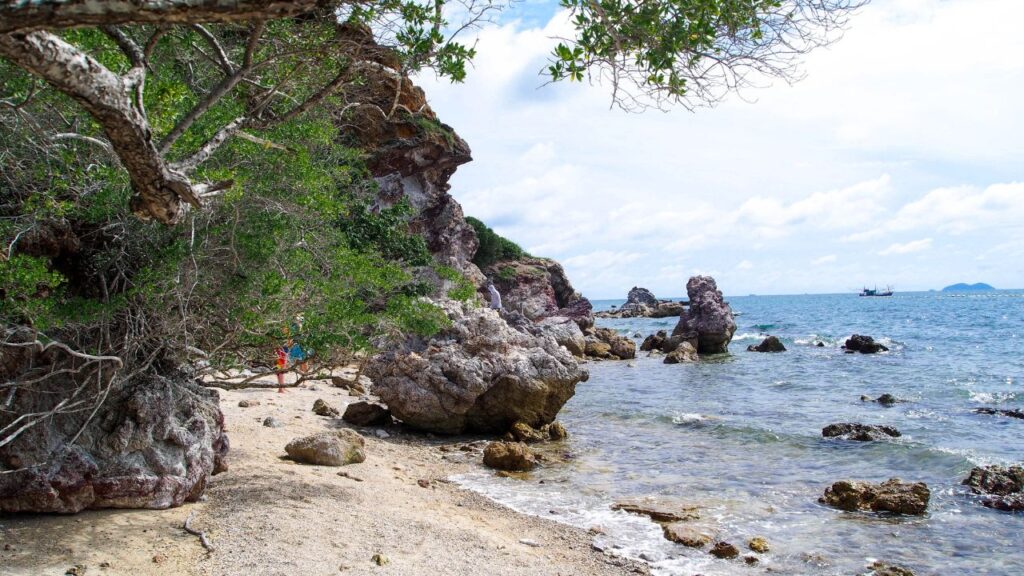 update ถ้ำลับเกาะล้าน 12 KohLarn.co 2024 10 10T233000.185
