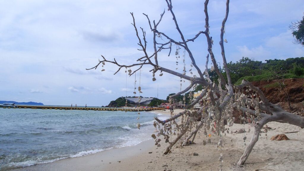 update ถ้ำลับเกาะล้าน 9 KohLarn.co 2024 10 10T233047.548 1