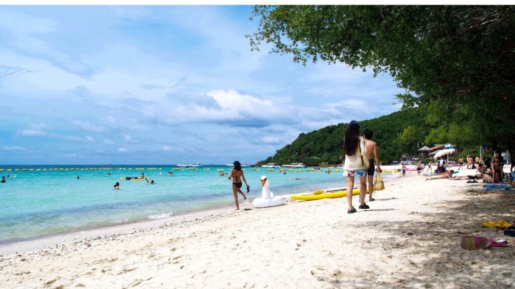 หาดในเกาะล้าน2024 23 KohLarn.co 2024 10 11T235854.435