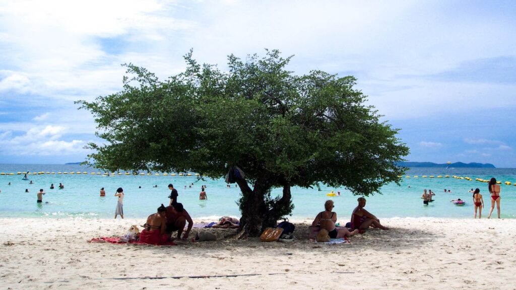 หาดในเกาะล้าน2024 22 KohLarn.co 2024 10 12T010101.919