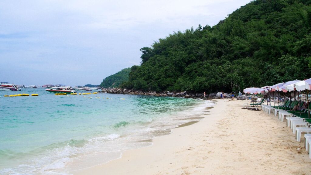 หาดในเกาะล้าน2024 8 KohLarn.co 2024 10 12T012532.475