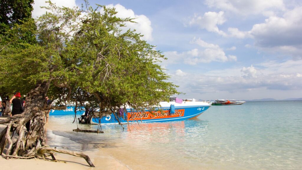 ท่าเรือ ชายหาดเกาะล้าน มีอะไรบ้าง? 29 KohLarn.co 2024 11 28T091329.783