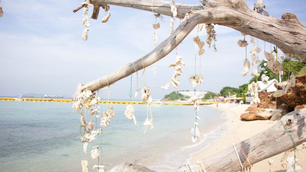 ท่าเรือ ชายหาดเกาะล้าน มีอะไรบ้าง? 23 KohLarn.co 2024 11 28T091936.339