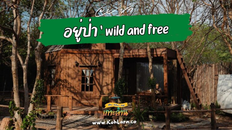 อยู่ป่า ‘ Wild And Free