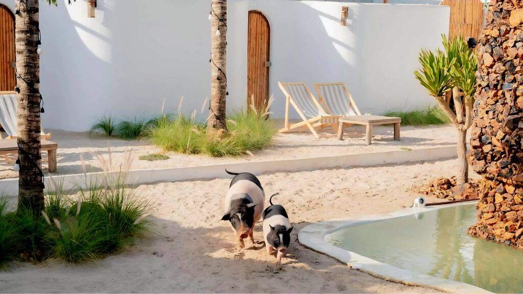 Kamari Cafe & Resort 5 41375