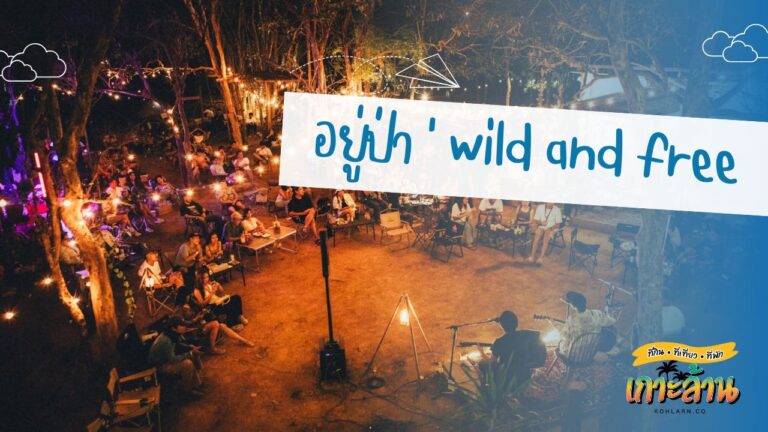 อยู่ป่า ‘ wild and free